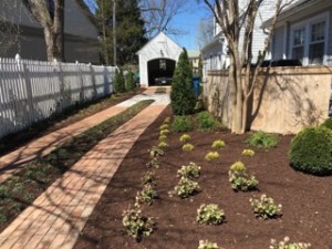 st michaels ,md . brick drive and plantings   historic district