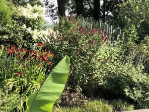 Colorful-Plantings-1