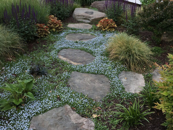 F.A. Hobson Landscaping - Low Maintenance Natural Gardens